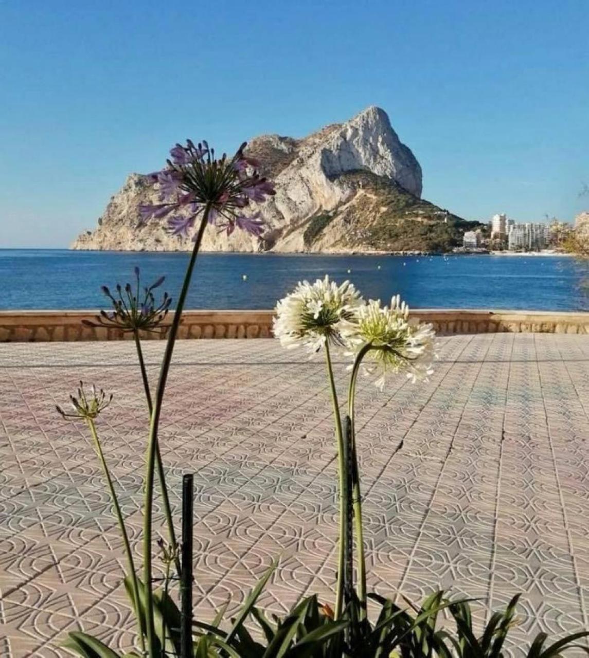 Apartament Hipocampos Calpe