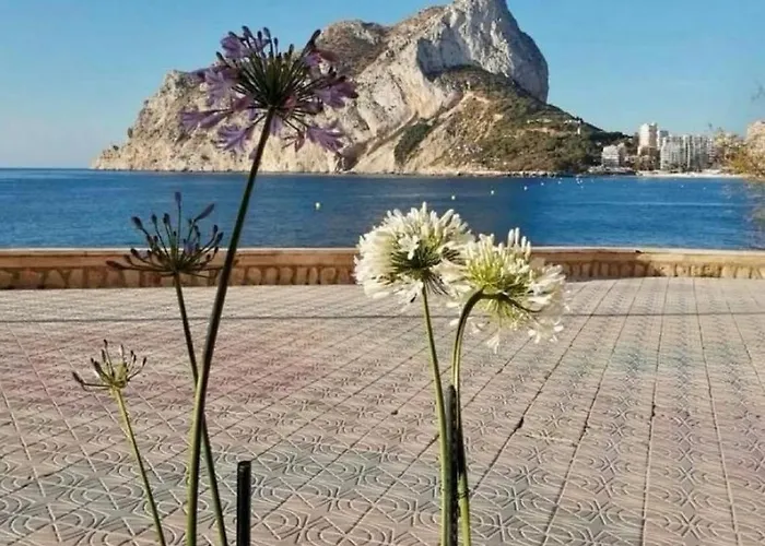 Hipocampos